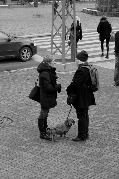 In front of the library Metso