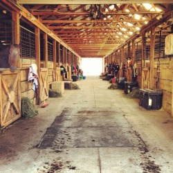 Gorgeous barn