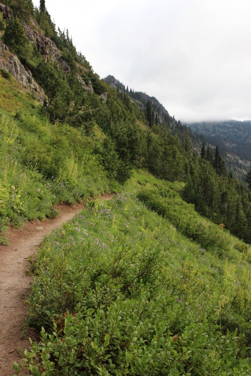 burningmine: Sheep Lake to Sourdough Gap Trail, August 2018