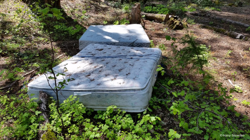 Mattress Outlet - Rogue River National Forest - OregonHarry Snowden