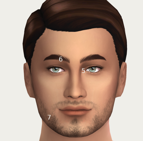 BASEicSimmer’s Favorite Face CCI’ve been doing a ton of sim makeover’s recently, b