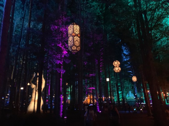 #electric forest on Tumblr
