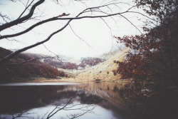 { the lake, the forest, the autumn }