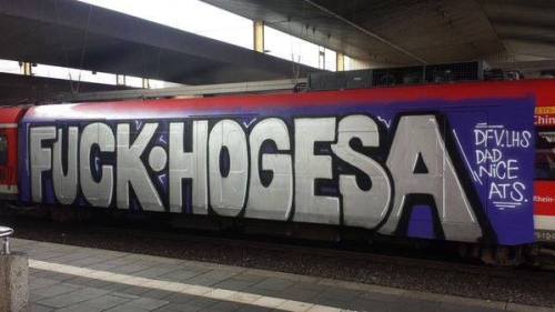 HOGESA = Hooligans Gegen Salafies (Hooligans Against Salafies) = Neo Nazi Boneheads