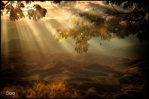 belladonnamortis:  (via Portfolio) 