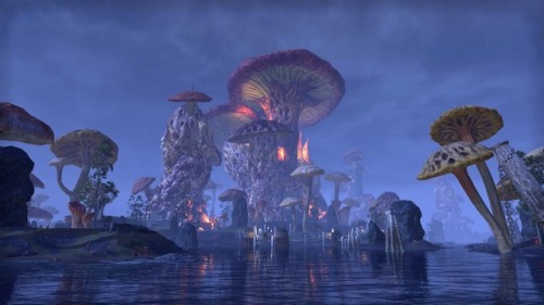 playingforpix:More Telvanni architecture in Sadrith Mora and Tel Branora.