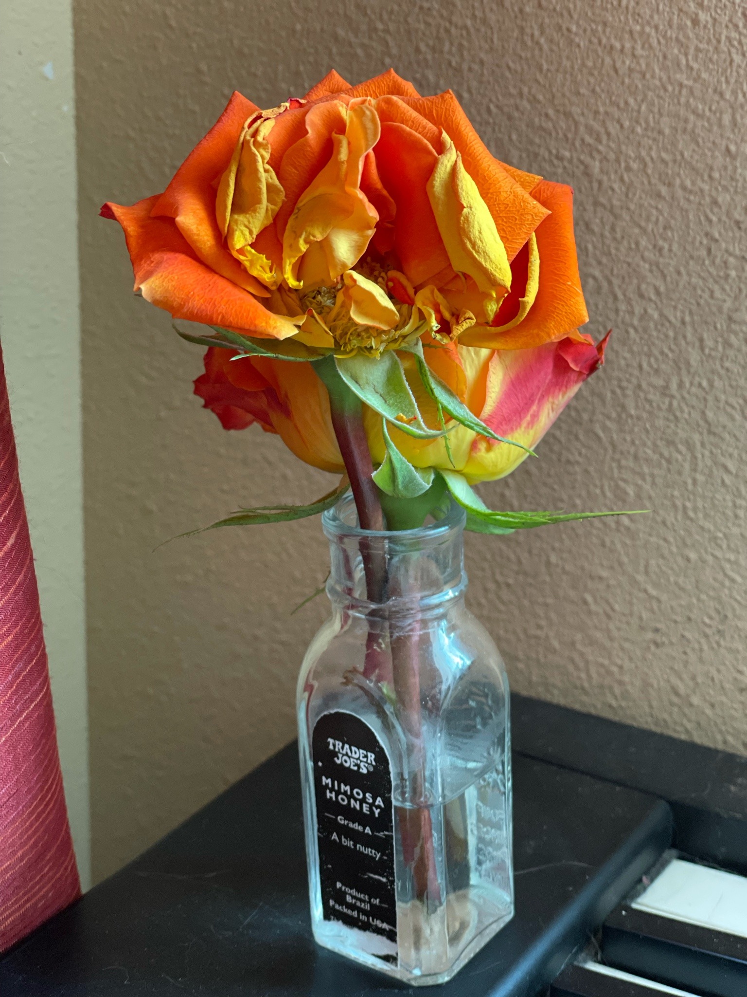 musesmischief:These roses are so pretty. porn pictures