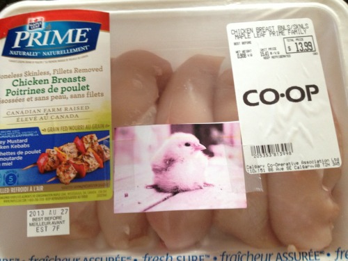 viva-la-veganism:astudyinmoustaches:similarpeople:spacedoutforever:cuddlethecows:I did this to my br