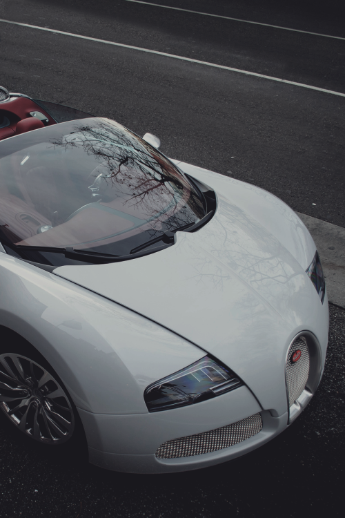 White Bugatti / photographer