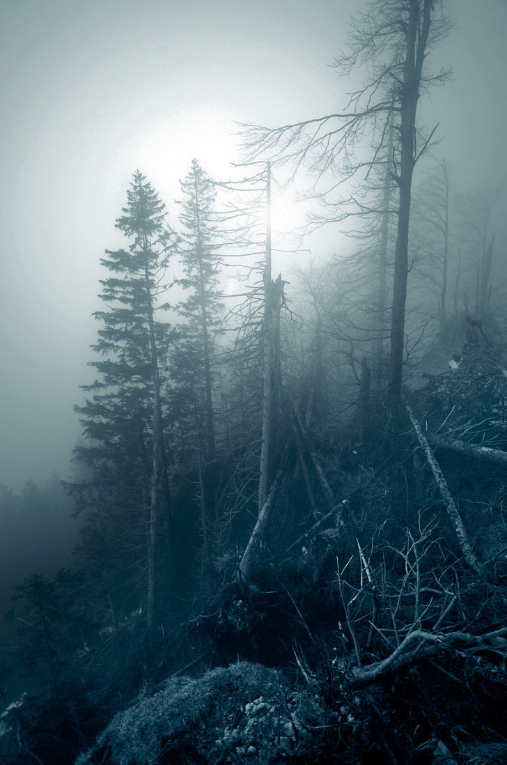 touchdisky:  act of nature by CaveCanem42