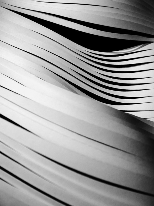 hh-bergmann: Paper cut