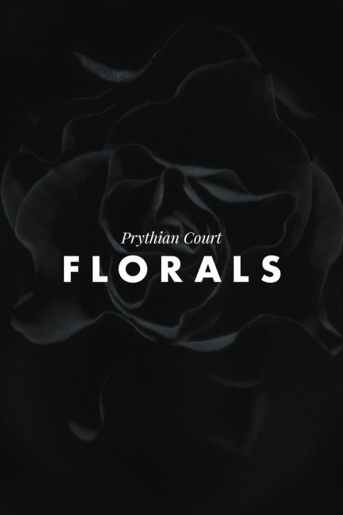 hellostarfall:lit aesthetics: prythian court florals