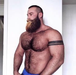 randybear73:  beardburnme:  Wolfdeutschland Instagram  Woooooof 