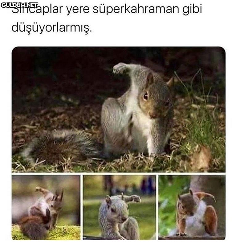 Olum Harika bir şey lan bu...