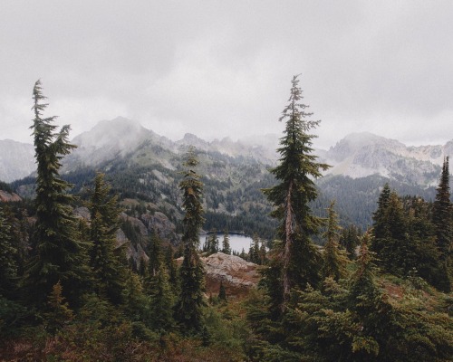 andrewtkearns:High above tree line