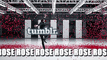 tickle-me-dalek:   no but seriously this is what my dash feels like right now