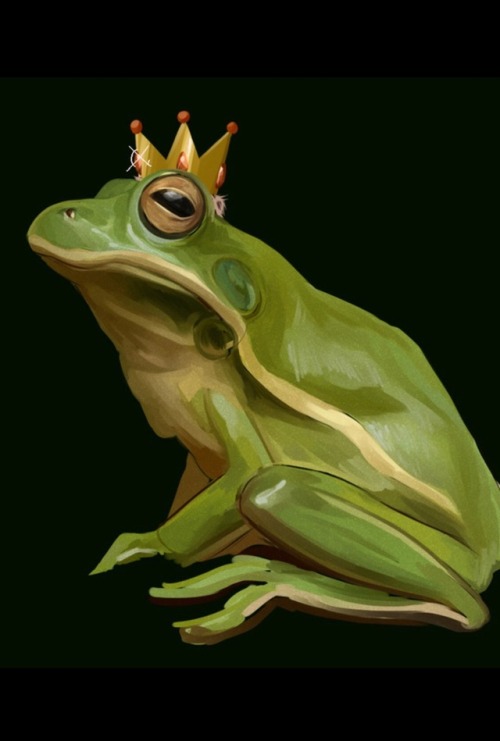 lemongogo: also ?? check out my frog king??? hes so cute i love him thanks