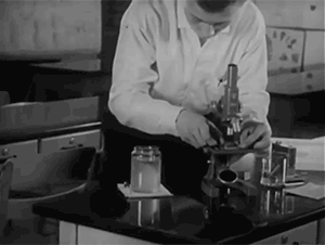 zerostatereflex: Microorganisms: “Microscopic Life: The World of the Invisible” 1958 Encyclopaedia Britannica Films  All this beautiful life we never see. 