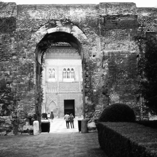 Corral del Carbon, Granada, 1976.When this photo was taken, the old commercial space where charcoal 