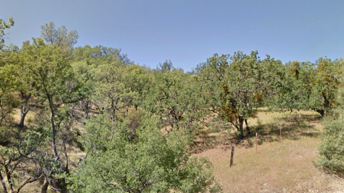 Los Gatos Creek Rd, Coalinga, California.