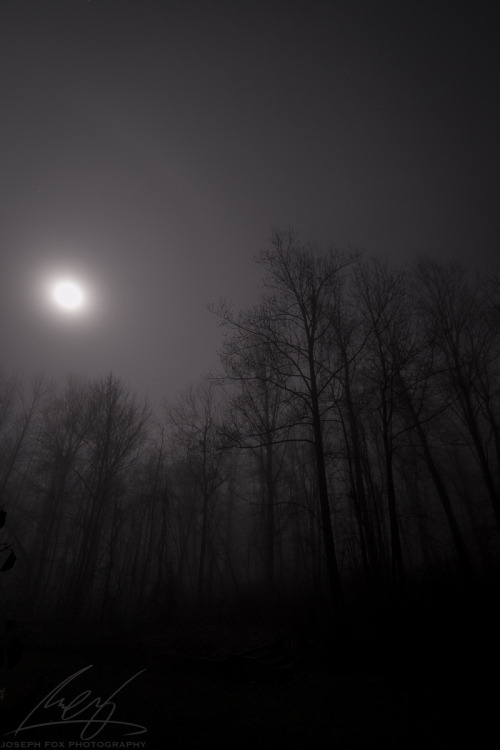 So tonight I tested out the new Rokinon 14mm f/2.8 lens I got for Christmas, because it’s real