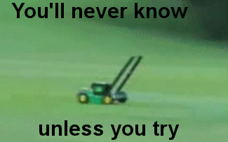 justapsychoticchameleon:  jordan-haruka replied to your post:  Still the best ship is always…  wulphire aint gonna b happy    