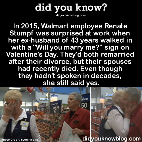 did-you-kno:  Source
