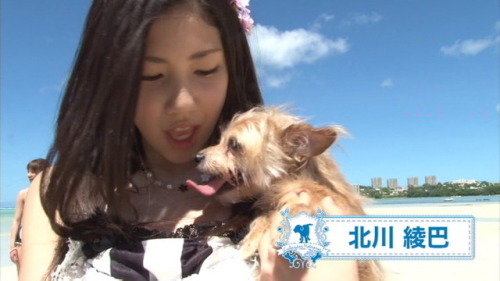 Haruppi