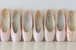 salt-roses:  Pink, pale and pretty. Message me if you are really similar :)   ×