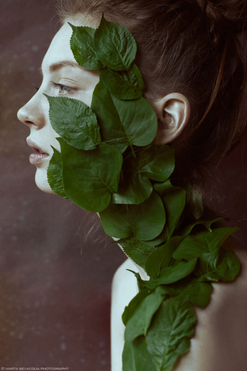 Marta Bevacqua Photography