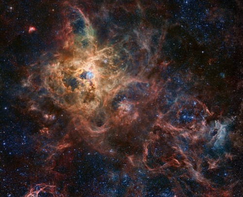 The Tarantula Nebula : The Tarantula Nebula is more than a thousand light-years in diameter, a giant