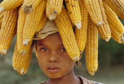 iluvsouthernafrica:  Madagascar: Portraits of Malagasy girls of different ethnicities.  Names unknown. Photos by: Frans Lanting