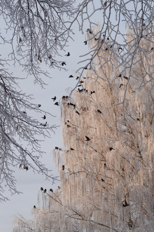 Just few friends hanging around