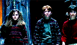 Donnastroy:  He Liked It Best When He Was With Ron And Hermione And They We’re
