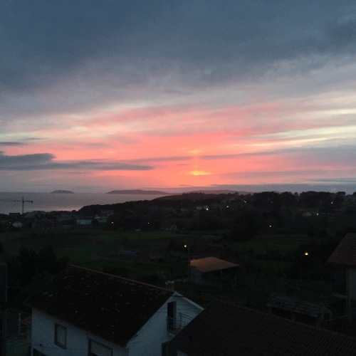 makinpussypurr:What did we do to deserve cotton candy skies.