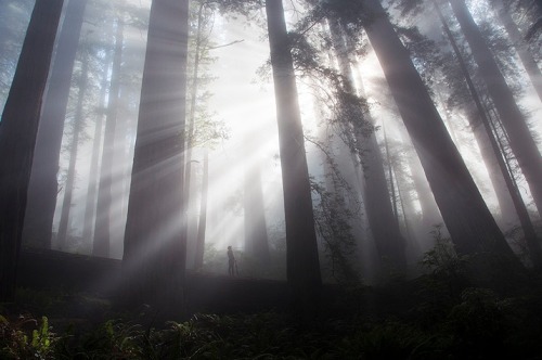 lohrien:  Photography by Peter Jamus