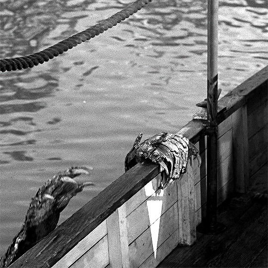 355e2bb0f893dfcd9cb3d2c09af3d62ca3b6f375