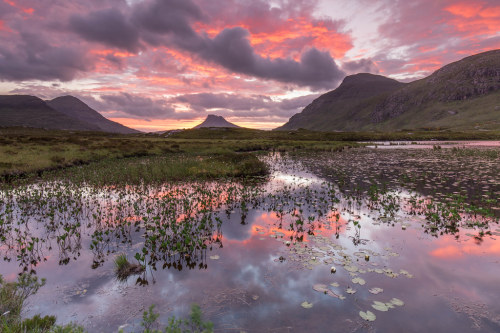 expressions-of-nature:by Gordie Broon Felt like this was Scotland before I even saw the name or clic