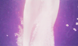 fxsdiamond:  overthinking is a dream killer. sometimes, you can drown in your own thoughts.