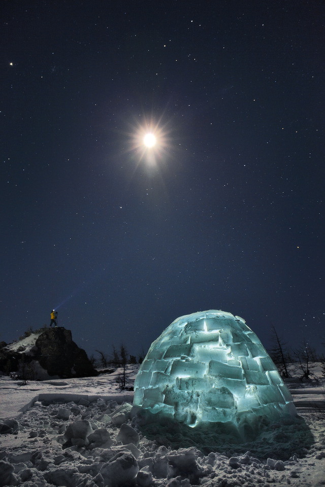 magicalnaturetour:  Tramp from the north