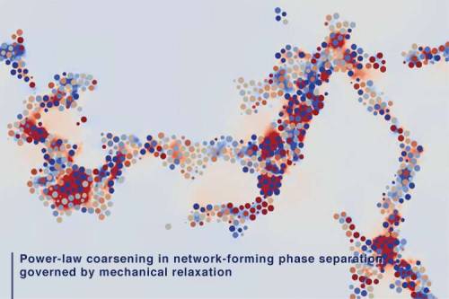  Discovery of a new law of phase separation Researchers from Institute of Industrial Science at The 