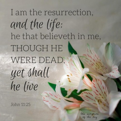 Jesus said unto her, I am the resurrection, and the life: he that believeth in me, though he were de