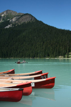 mistymorningme:  Lake Louise by hojusaram 