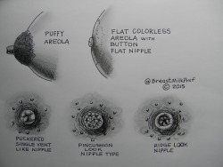 breastmilkprof-milky-macromastia:  #Breasts have distinct features, easily noticed. #puffy #areolas, flat areolas with button #nipples, &amp; multiple nipple shapes. Here are a few shapes to add to your knowledge files.
