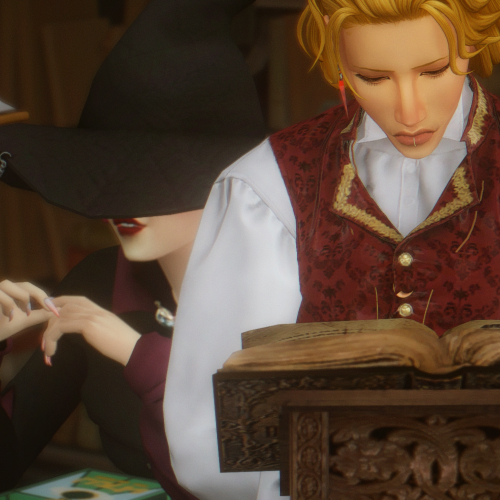 The Library