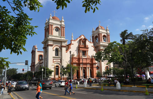 Catedral de San Pedro Apóstol, Cortés, HondurasConstruction of this Neo-Colonial beauty began in 194