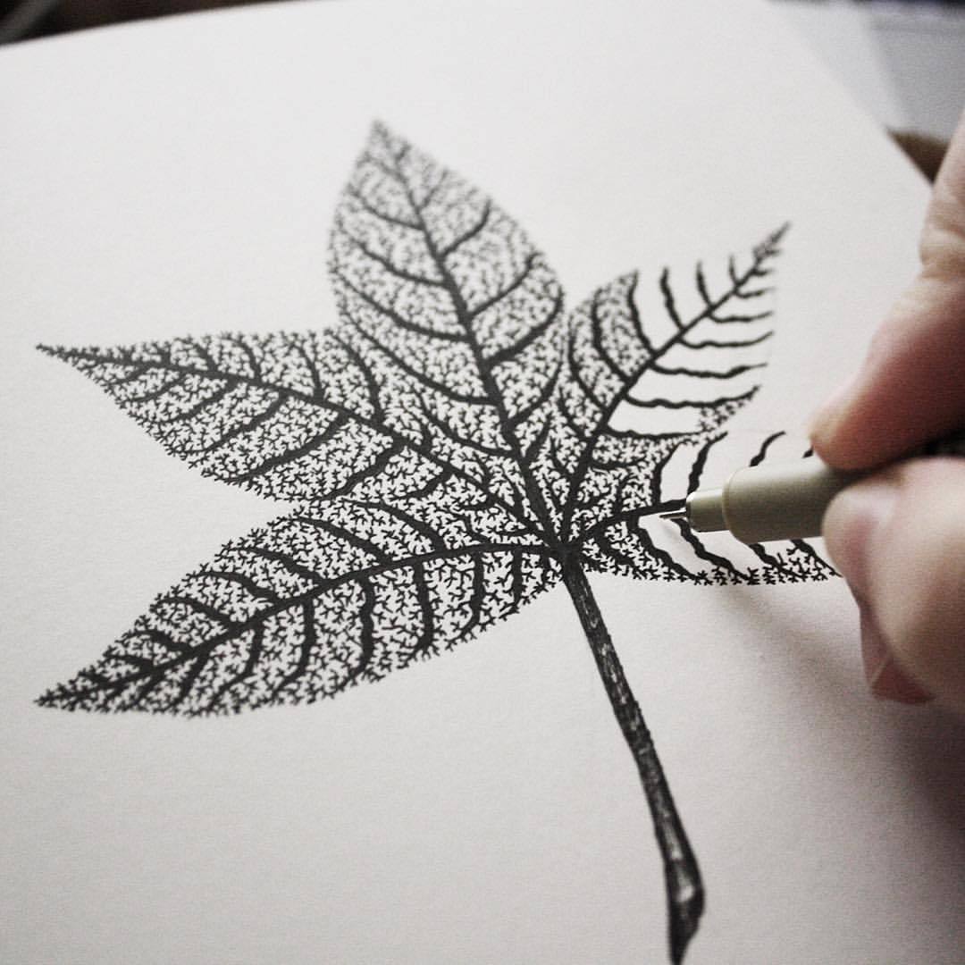 Leaf Doodle Art, Colourful Leaf Art, Sketch Pen Art