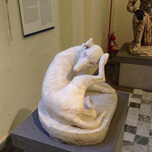 shatteryourleaves:Roman animal statues from the National Archaeology Museum of Naples, Italy. Some a