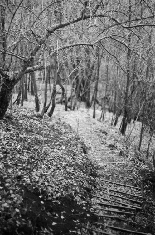 film from November'21 - Descent into the hollow Zenit-E, Helios-44-2 2/58 AGFA Aviphot Pan 200/24Per