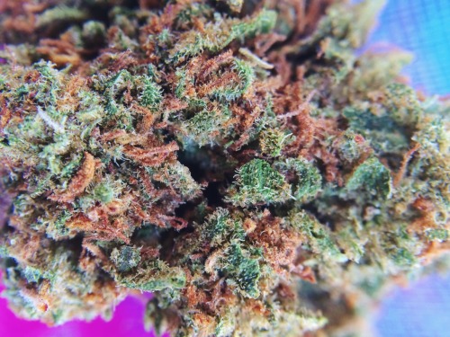 princessdabber:  Blueberry Crack 